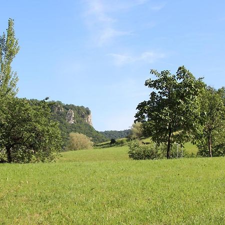 Domaine De Bellevue Gite Du Mont Poupet Marnoz Exteriör bild